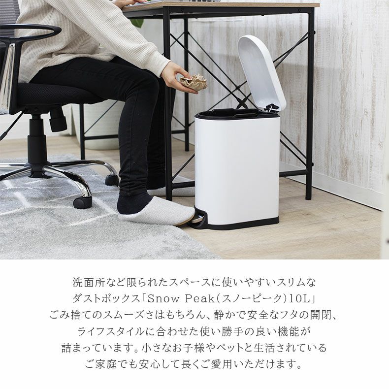 10L ダストボックス スノーピーク