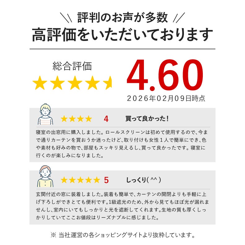 遮光 1級遮光ロールスクリーン シェイディ