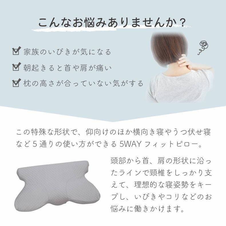 35x64 5WAYフィットピロー