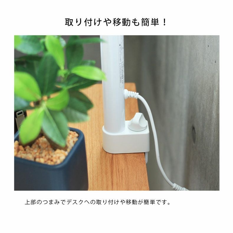 デスクライト ECL-611 ECL-612