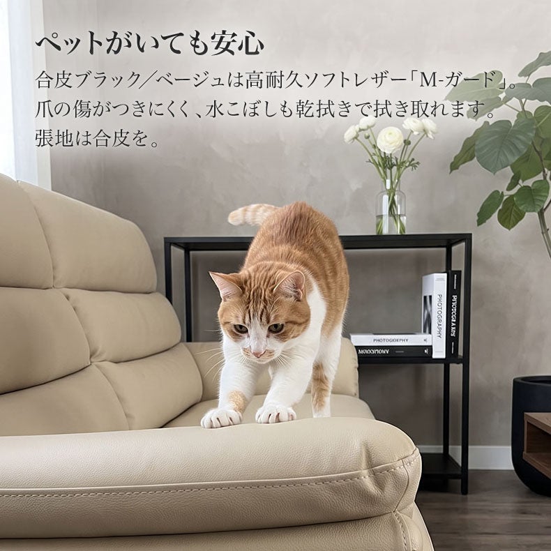 ３人掛けソファ | ソファ ジャガー