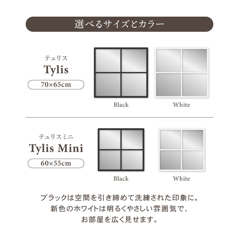 ミラー・コスメ収納 | ウォールミラー テュリス