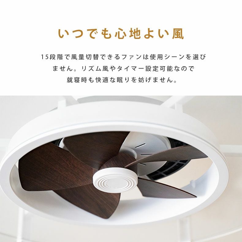 シーリングファン パネライトサーキュレーター 10畳用 JE-CF030