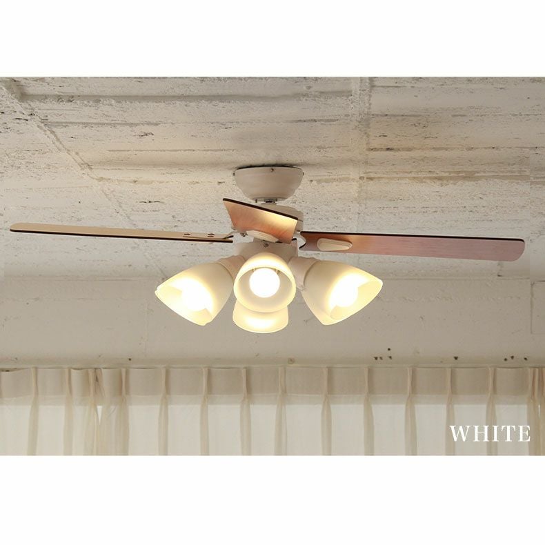 シーリングファン Windouble (6-lights)