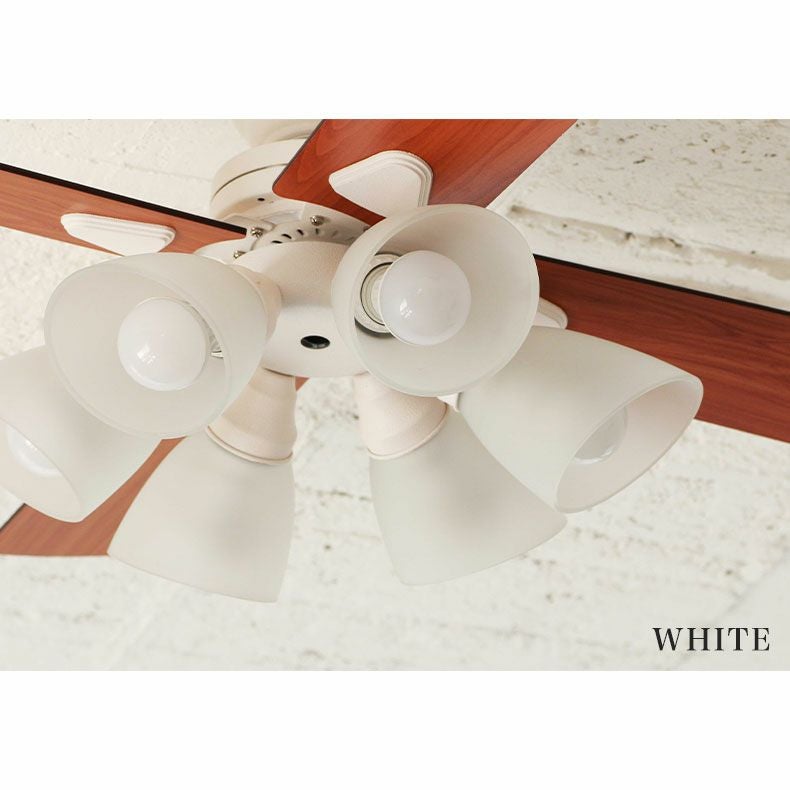 シーリングファン Windouble (6-lights)