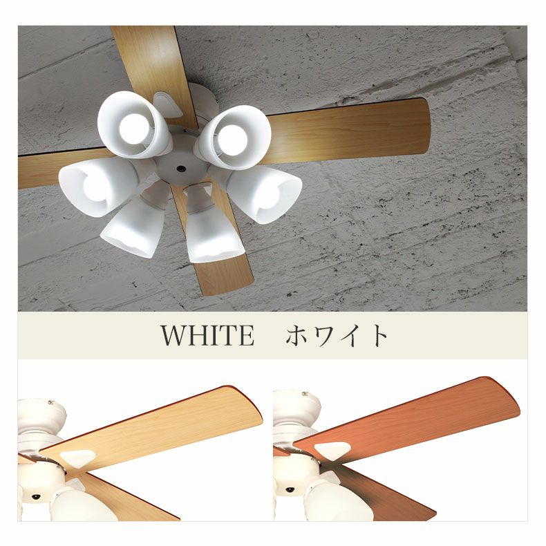 シーリングファン Windouble (6-lights)