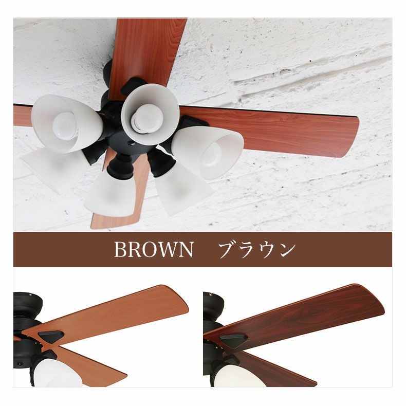 シーリングファン Windouble (6-lights)