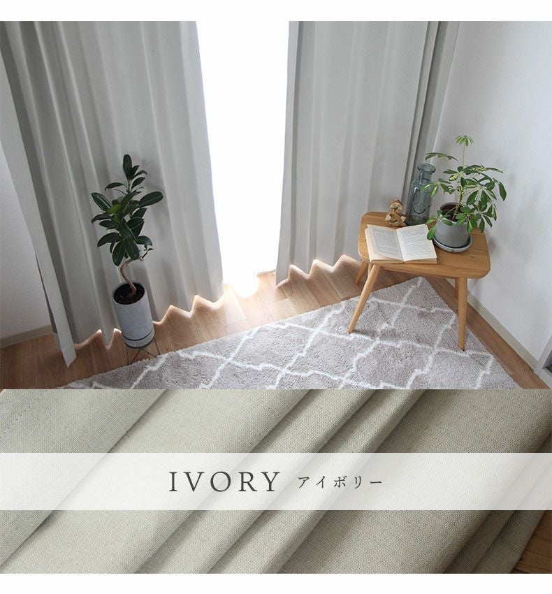 2枚入り 遮光 遮熱 2枚入り 既製カーテン サザナミ