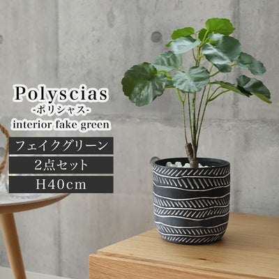 ポリシャス セラミックポット2点セットのサムネイル