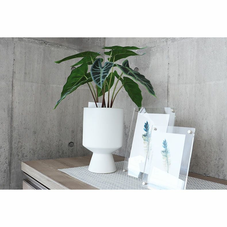 taroご注文植木鉢 グリーン・フラワー タロ