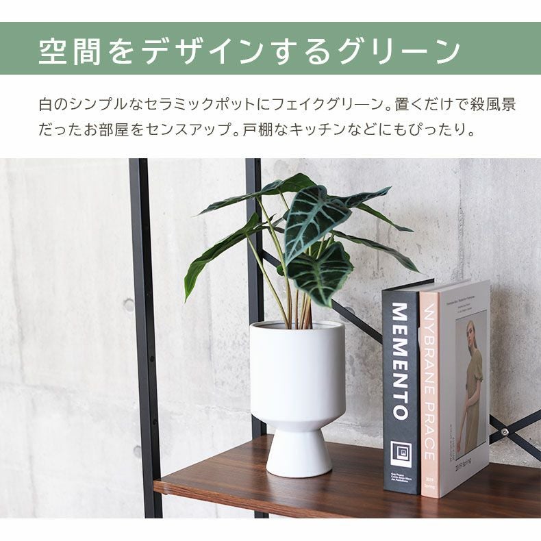 グリーン・フラワー タロ
