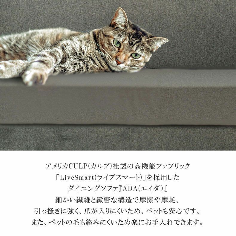 背あてクッション | クッション エイダ