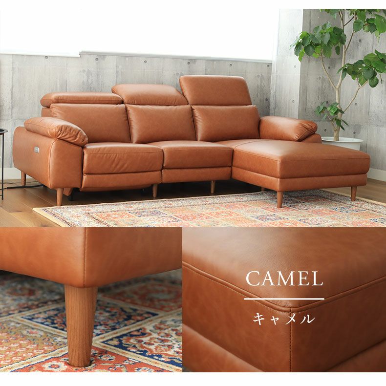 片電動カウチソファ左 シュナイダー