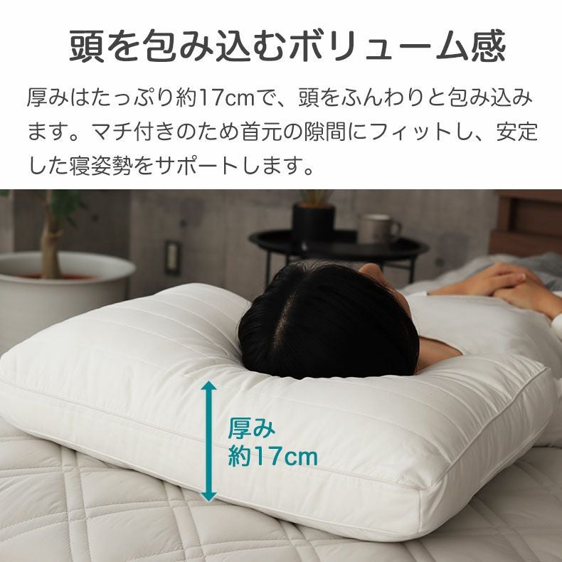 43x63cmまくら ダニスト