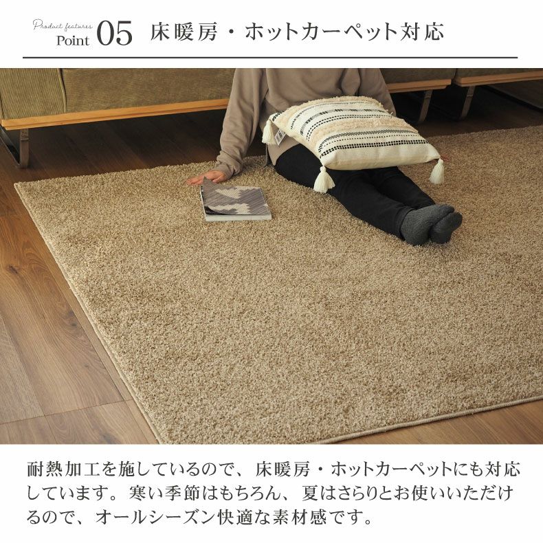 ラグ ウォッシュ2