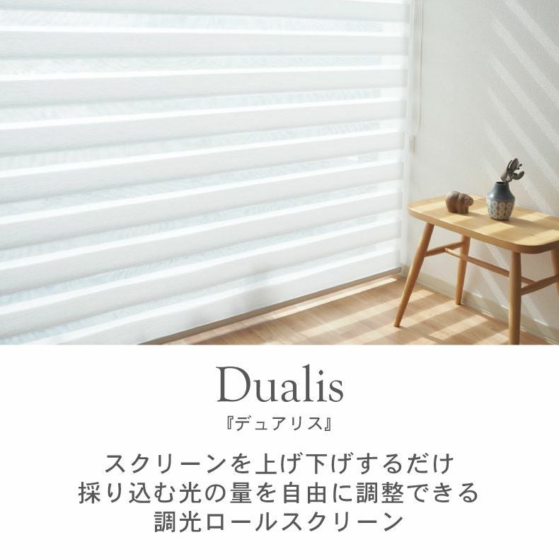 調光 ロールスクリーン デュアリス