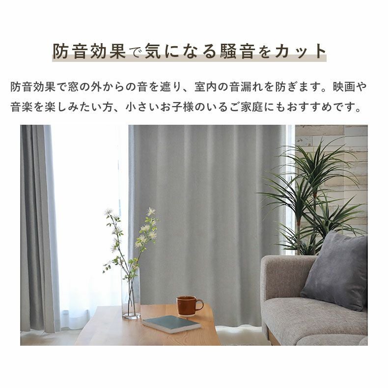 ドレープカーテン（厚地）｜2枚入 カーテン エッセ 遮光 形状記憶 遮熱
