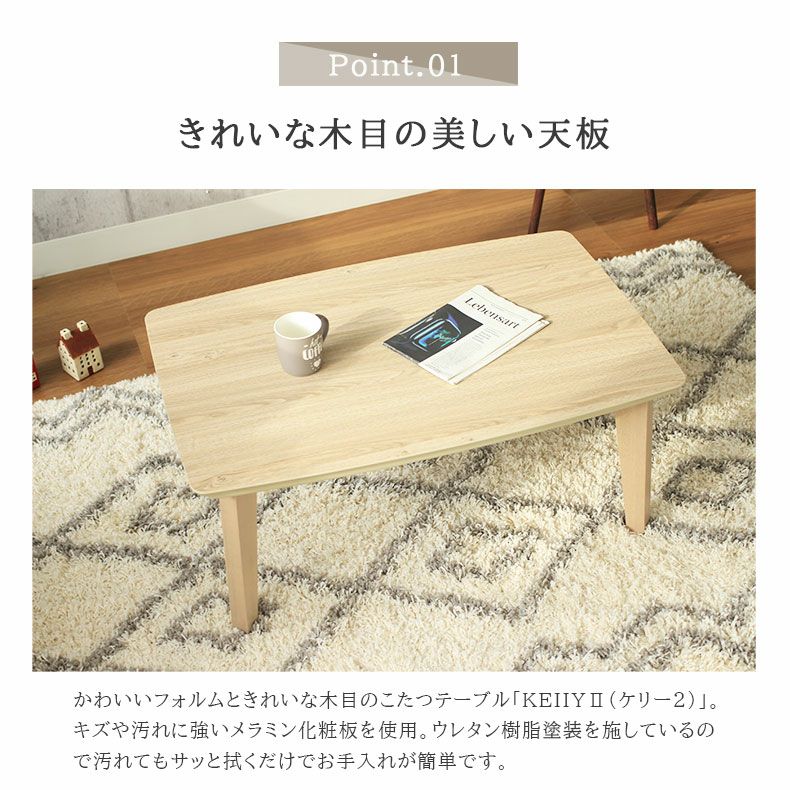 こたつ ケリー2