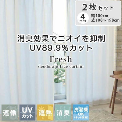 2枚入り 既製レースカーテン フレッシュのサムネイル