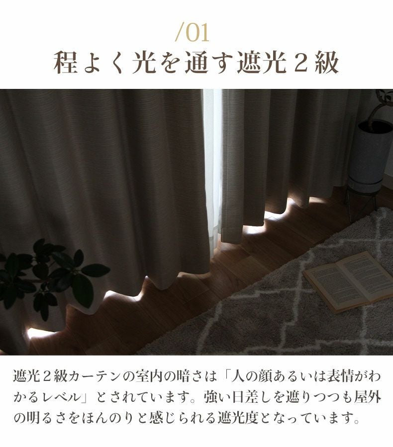 2枚入り 遮光 遮熱 2枚入り 既製カーテン フレイバー