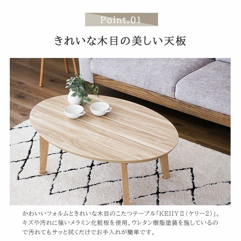 こたつ ケリー2