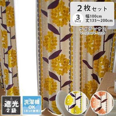 ドレープカーテン デザインライフ ケイランサスのサムネイル