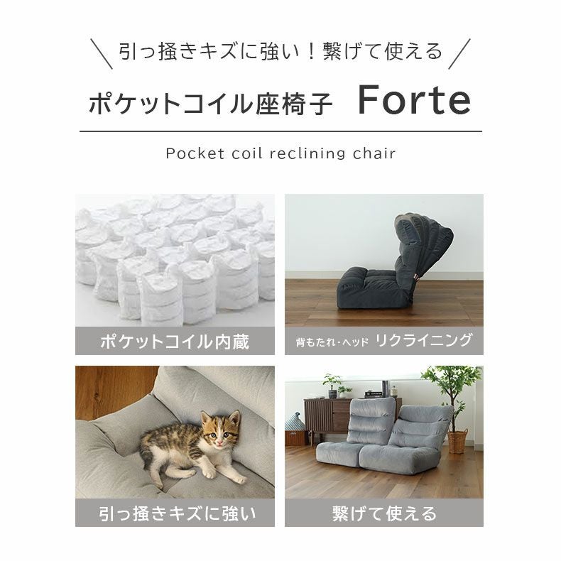 座椅子 | ワイド座椅子 フォルテ