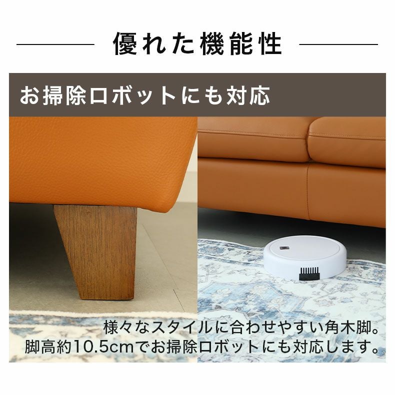 2人掛け ソファ|ベッツ 傷に強い張地 2人掛け ソファ|ベッツ 傷に強い張地