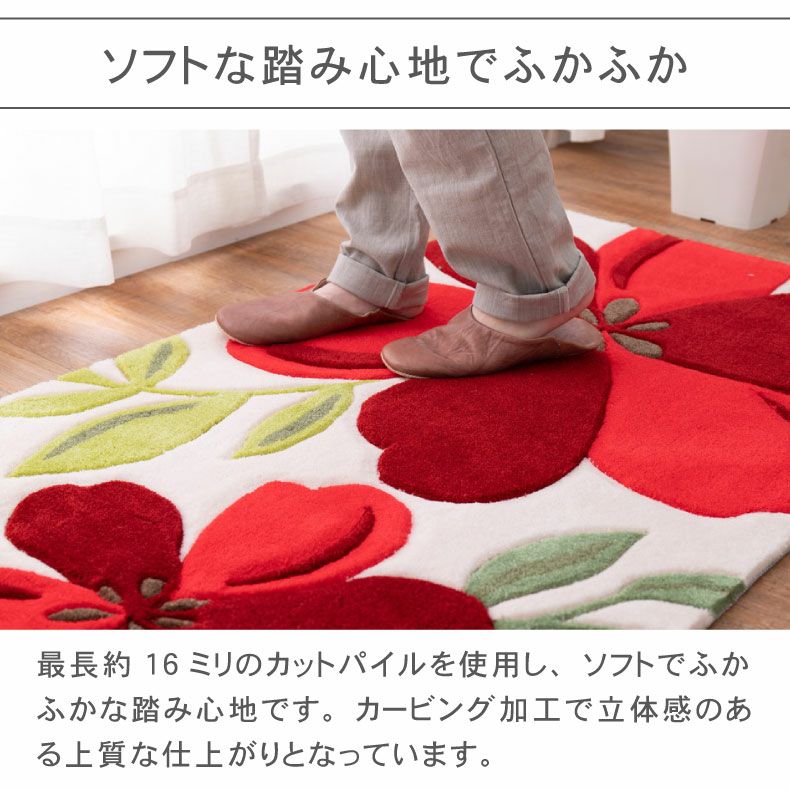 玄関マット | 50ｘ80cm 玄関マットアベル