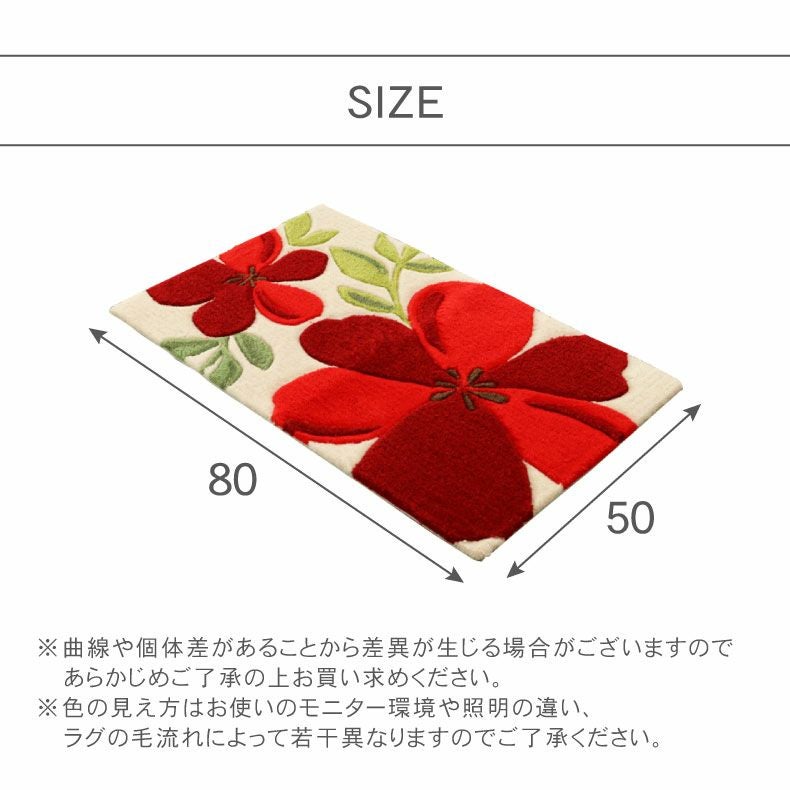50x80cm 玄関マットアベル