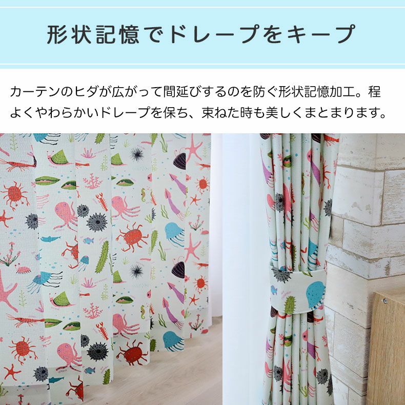 minはるオーダーページ シンプルオーダーカーテン ウミノイキモノズカン | マナベインテリア
