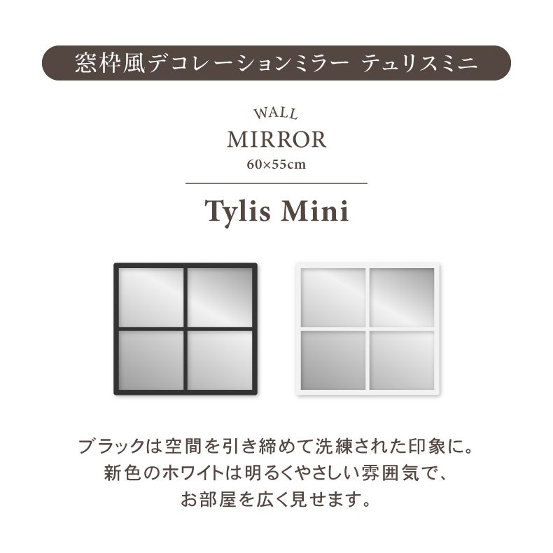 ミラー・コスメ収納 | ウォールミラー テュリスミニ
