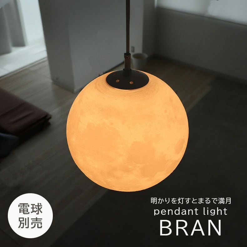 シーリングライト | 1灯ペンダントライト ブラン