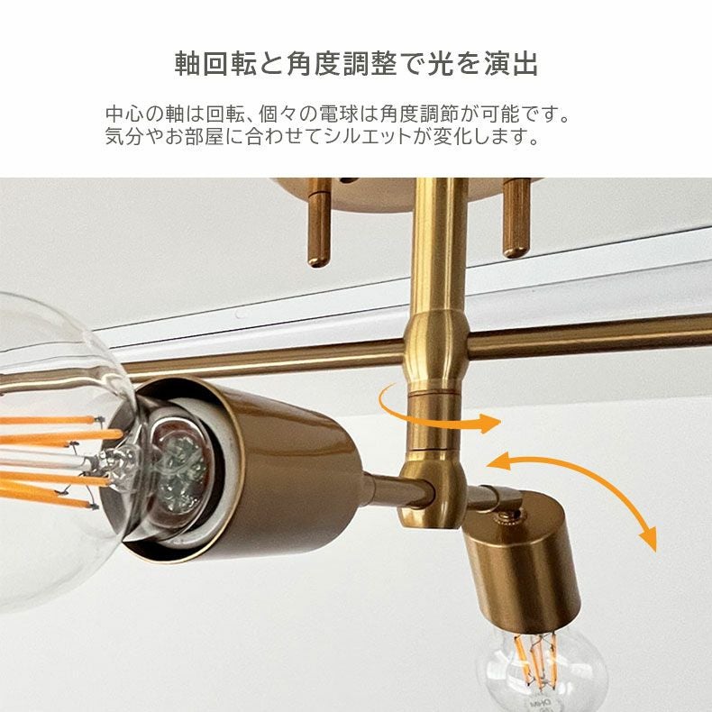 シーリングライト | シーリングライト フェリス