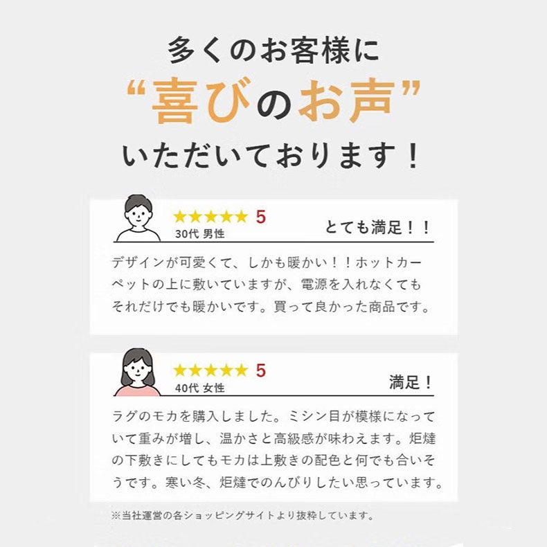 無地ラグ | 蓄熱ラグ フェリス
