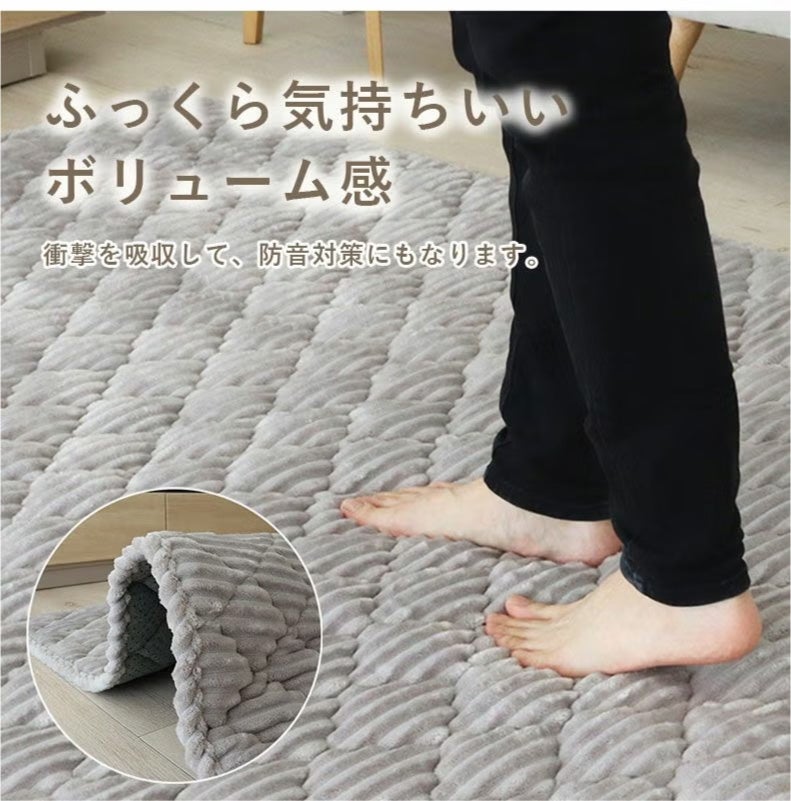 無地ラグ | 蓄熱ラグ フェリス