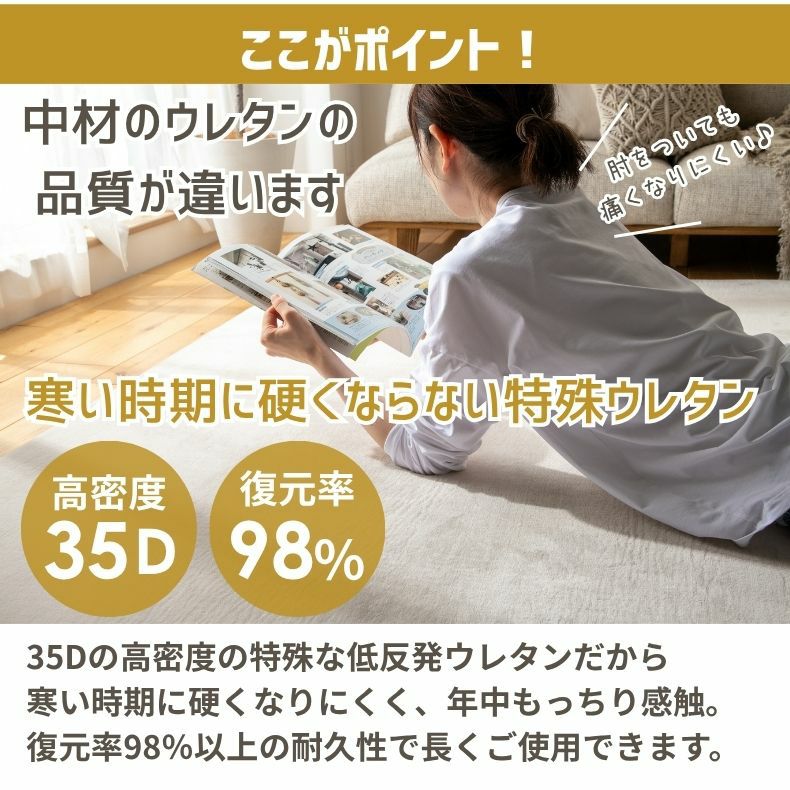 無地ラグ | ラグ はっ水ロジャー