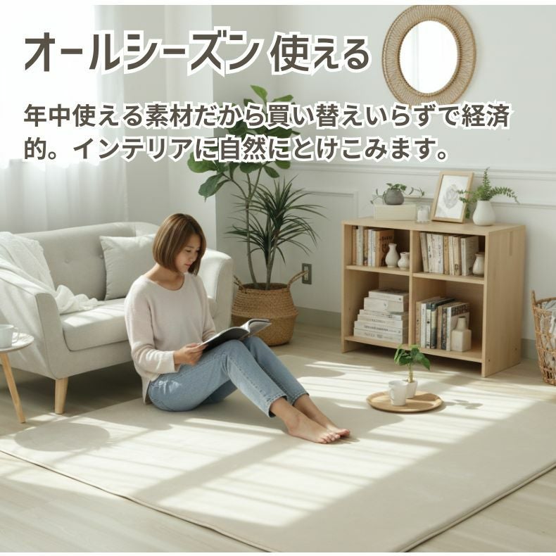 無地ラグ | ラグ はっ水ロジャー