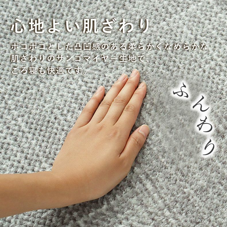 無地ラグ | ラグ ゴロリ