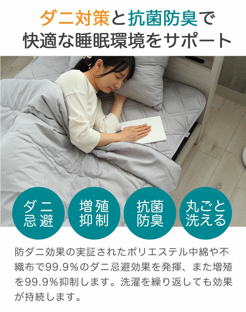 肌掛け布団 ダニスト2
