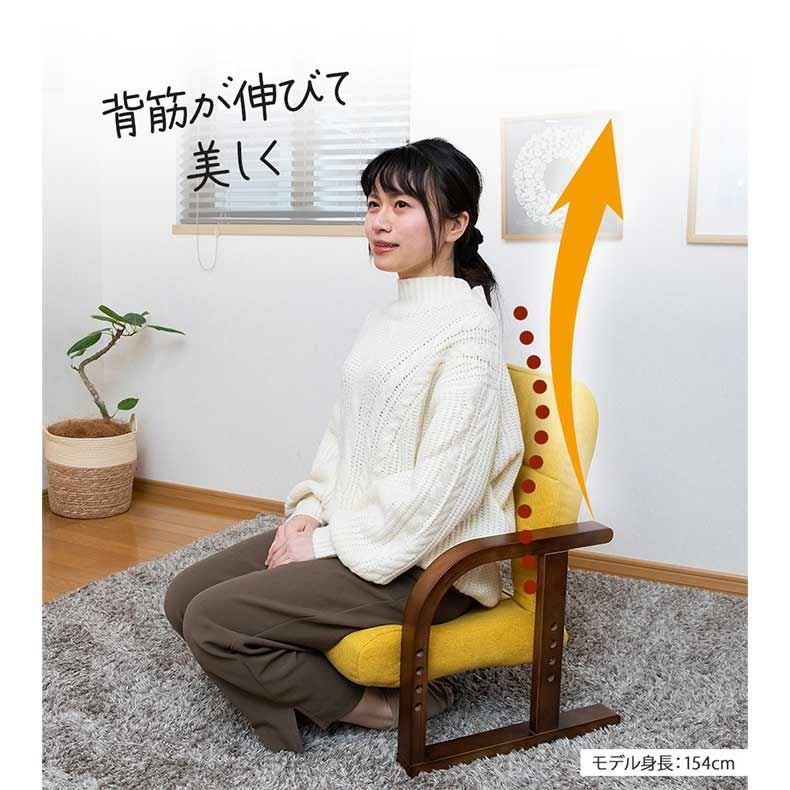 通販限定】あぐら座椅子リッチタイプ ソルム