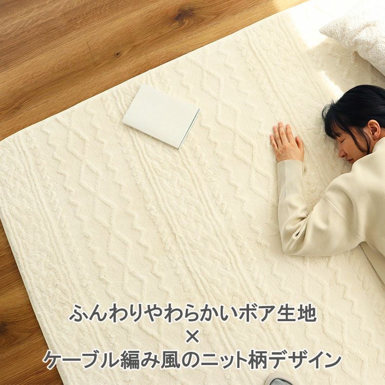 洗えるラグ ソフィス