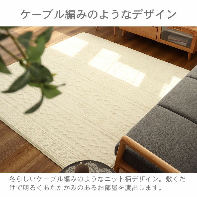 洗えるラグ ソフィス