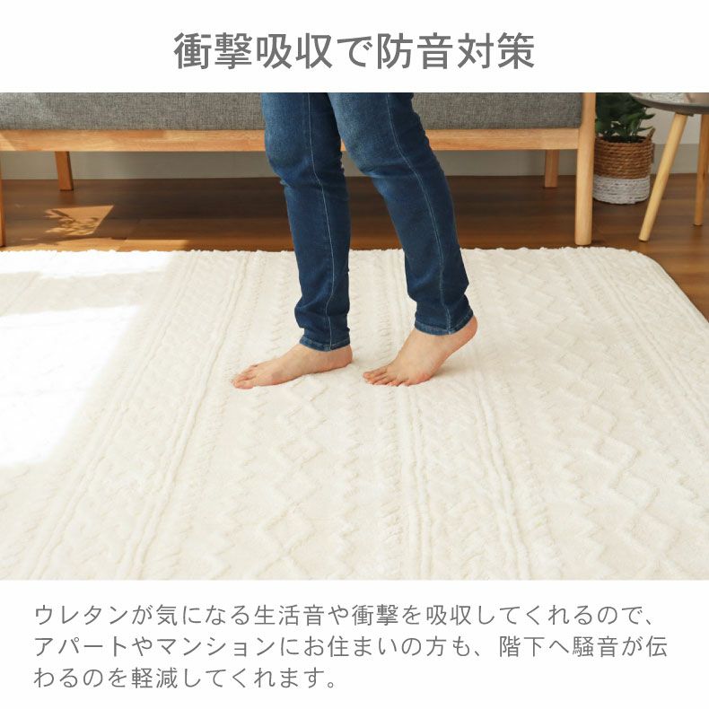 洗えるラグ ソフィス