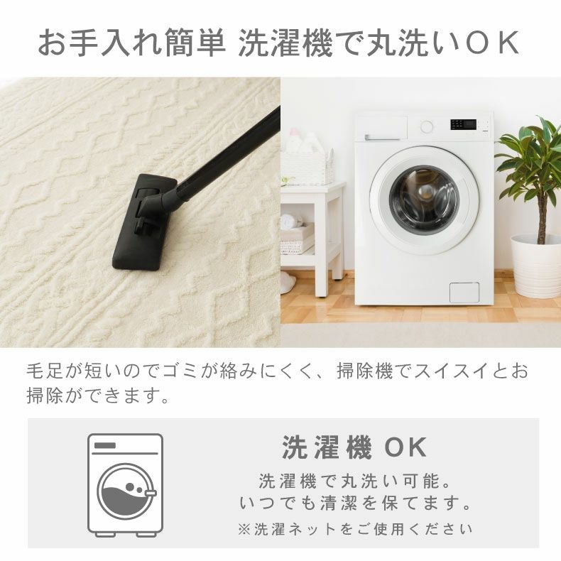 無地ラグ | 洗えるラグ ソフィス