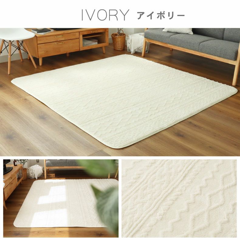 洗えるラグ ソフィス