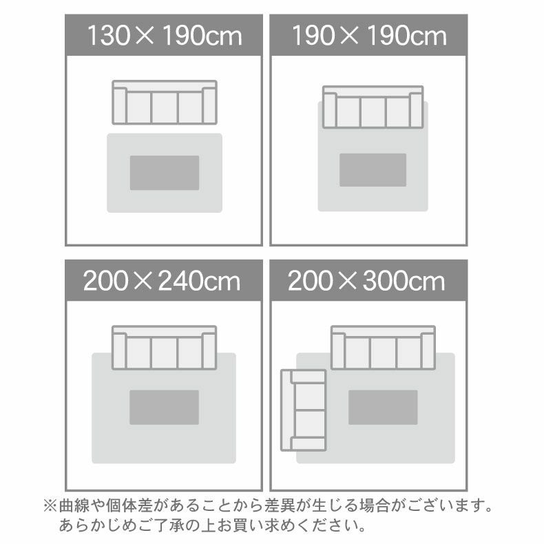 洗えるラグ ソフィス