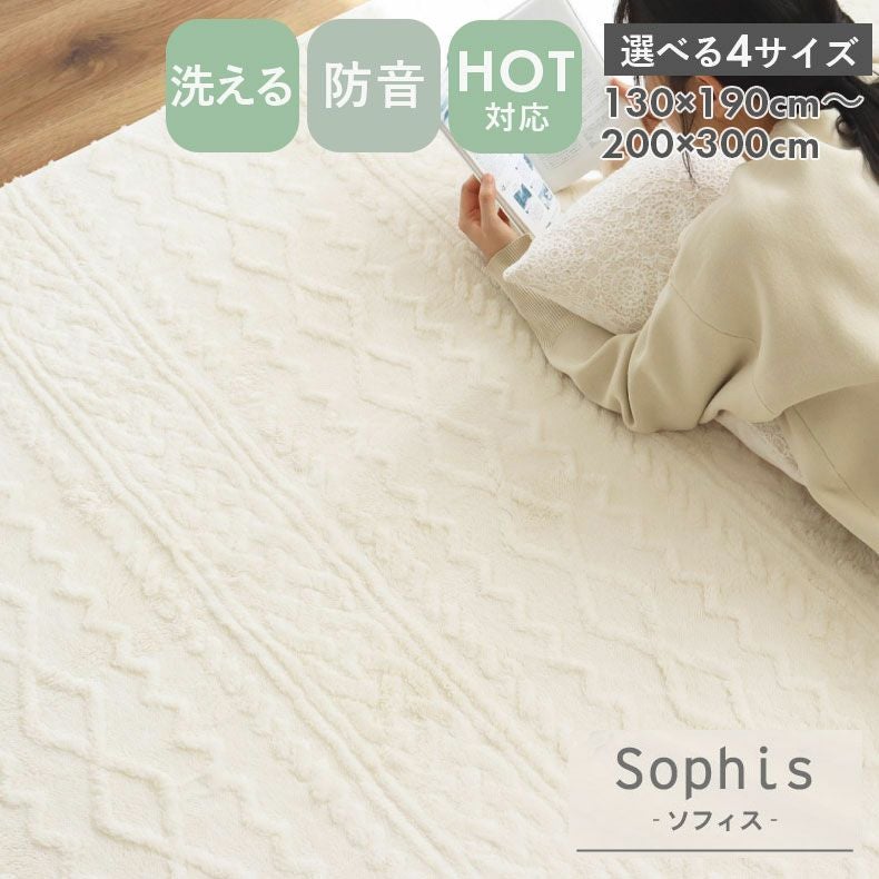 洗えるラグ ソフィス