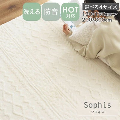 洗えるラグ ソフィスのサムネイル