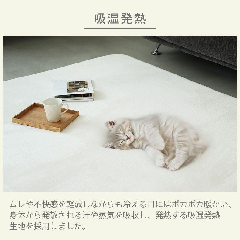 無地ラグ | ラグ マナヒートプラス